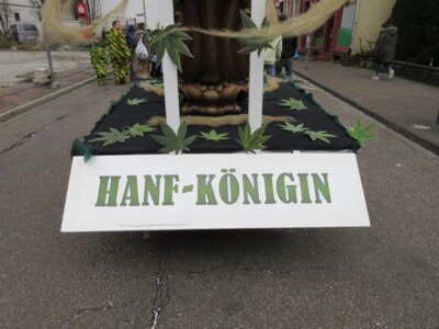 Foto des Albums: Umzug Buehl