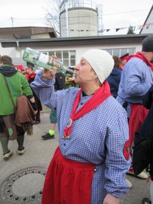 Foto des Albums: Umzug Ebersweier