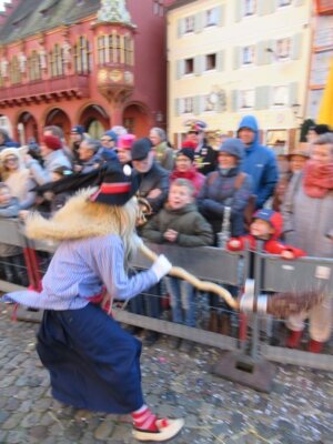 Foto des Albums: Umzug Freibug