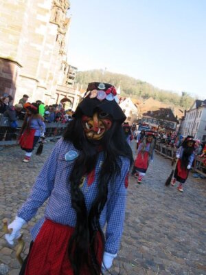 Foto des Albums: Umzug Freibug