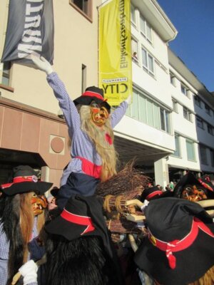 Foto des Albums: Umzug Freibug