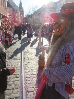 Foto des Albums: Umzug Freibug