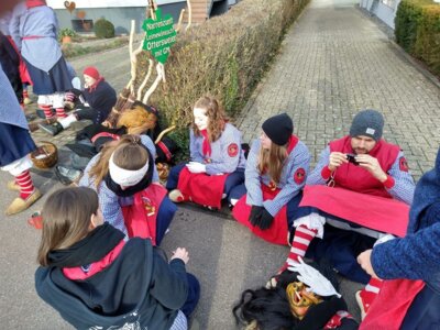 Foto des Albums: Umzug RIngsheim