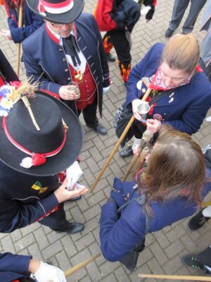 Foto des Albums: Umzug RIngsheim