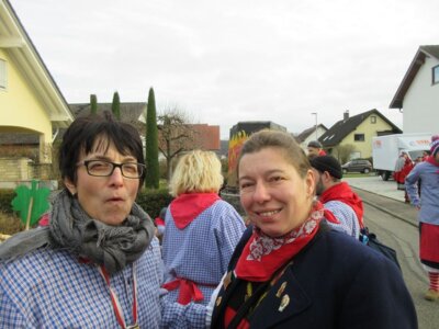 Foto des Albums: Umzug RIngsheim