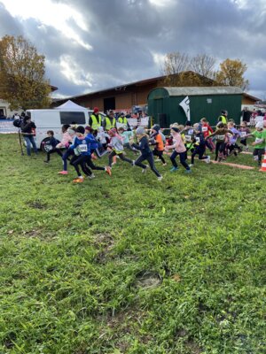 Foto des Albums: Sparkassen Cross 2023