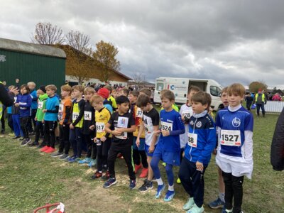 Foto des Albums: Sparkassen Cross 2023