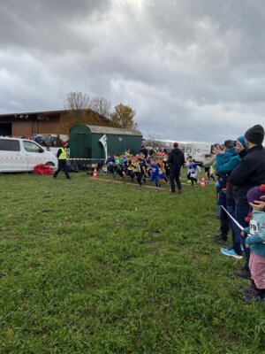 Foto des Albums: Sparkassen Cross 2023