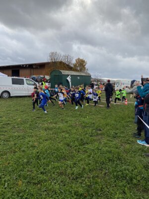 Foto des Albums: Sparkassen Cross 2023
