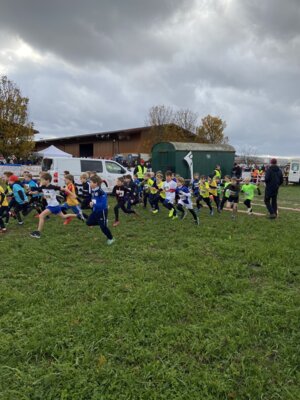 Foto des Albums: Sparkassen Cross 2023