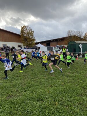 Foto des Albums: Sparkassen Cross 2023