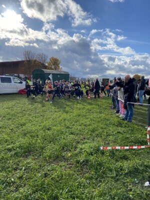 Foto des Albums: Sparkassen Cross 2023