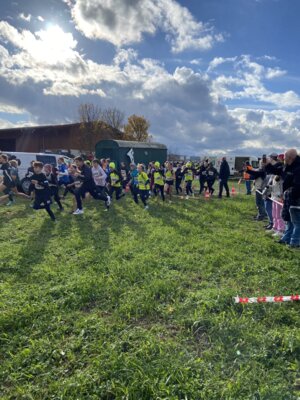 Foto des Albums: Sparkassen Cross 2023