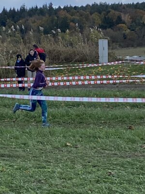 Foto des Albums: Sparkassen Cross 2023
