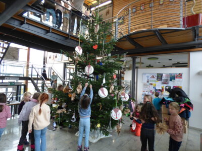Foto des Albums: Kinder schmücken Weihnachtsbaum im Rathaus
