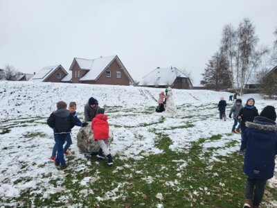 Foto des Albums: Schneeparadies in Sonnentau