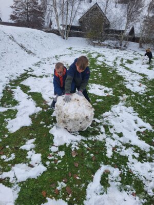 Foto des Albums: Schneeparadies in Sonnentau