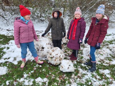 Foto des Albums: Schneeparadies in Sonnentau