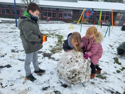 Foto des Albums: Schneeparadies in Sonnentau