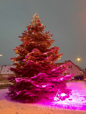 Foto des Albums: Nikolausrettung 2023 ist geglückt