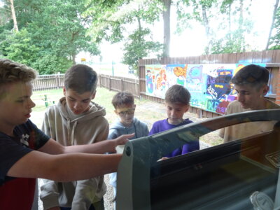 Foto des Albums: Sommerferienaktion: Grillen