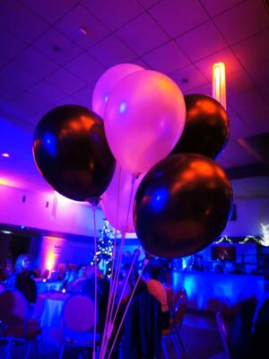 Foto des Albums: Sportlerball 2023