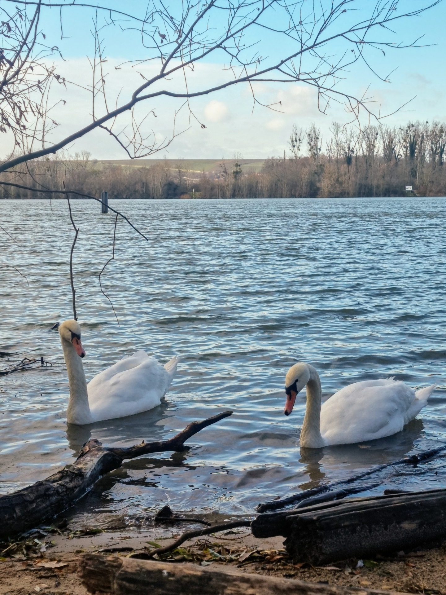 Bild: 20231210 123845