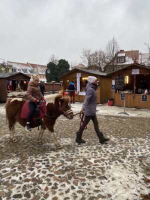 Foto des Albums: Wittstocker Weihnachtsmarkt (08.12.2023)