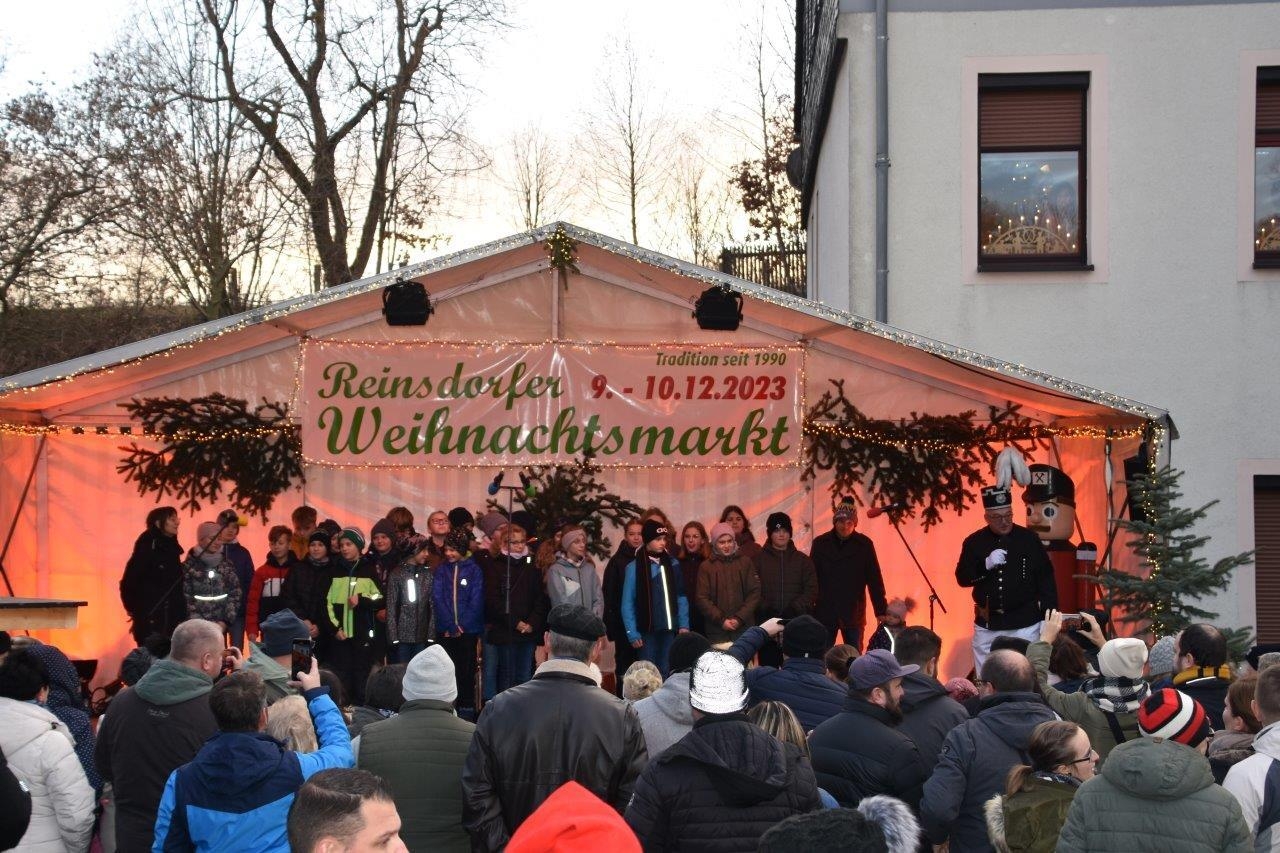 Bild: Auftritt Saxony International School Reinsdorf
