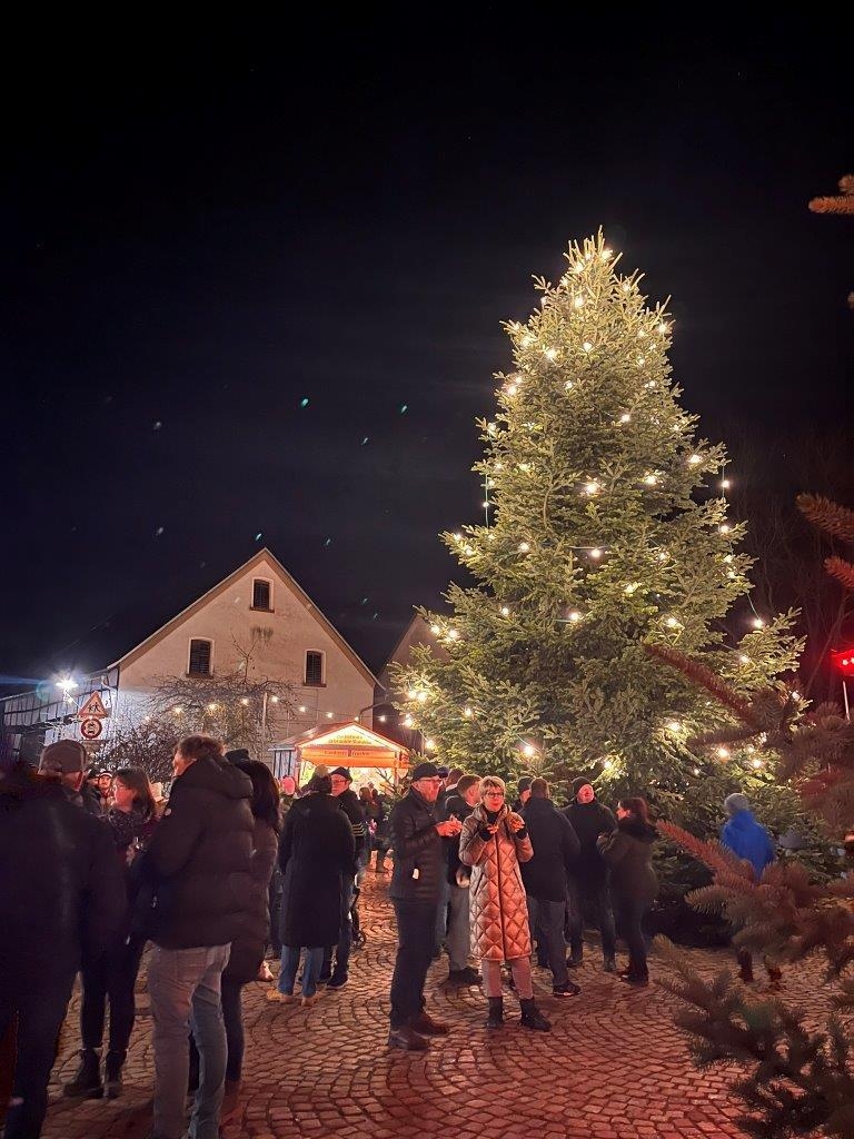 Bild: Prächtiger Weihnachtsbaum Rathausvorplatz