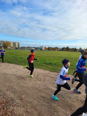 Foto des Albums: Jatznicker Waldlauf 11.11.2023