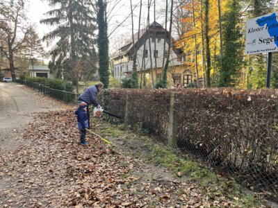 Vorschaubild: IMG 3917