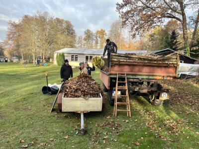 Vorschaubild: IMG 3919