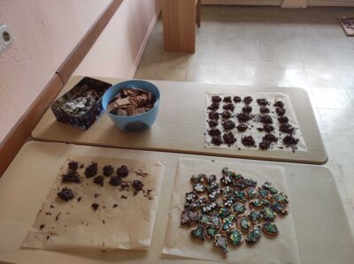Foto des Albums: Plätzchen backen 12.2023