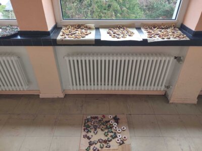 Foto des Albums: Plätzchen backen 12.2023