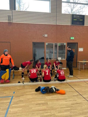 Foto des Albums: Punktspiel 2. Damen (17.12.2023)