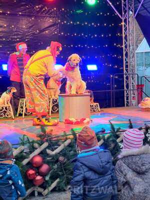 Foto des Albums: Fünf Tage wunderbares Weihnachtsprogramm