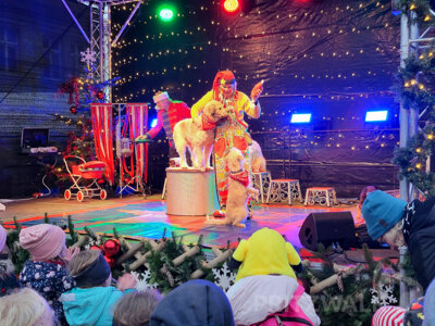 Foto des Albums: Fünf Tage wunderbares Weihnachtsprogramm