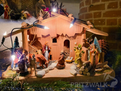 Foto des Albums: Fünf Tage wunderbares Weihnachtsprogramm