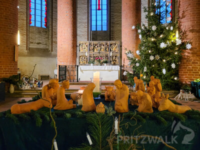 Foto des Albums: Fünf Tage wunderbares Weihnachtsprogramm