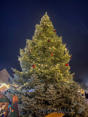 Foto des Albums: Fünf Tage wunderbares Weihnachtsprogramm