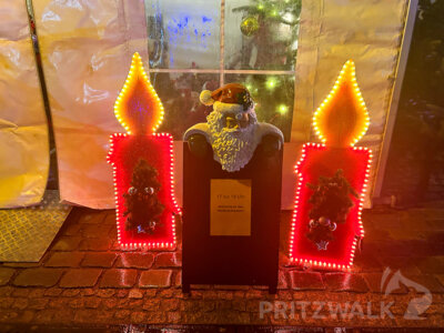 Foto des Albums: Fünf Tage wunderbares Weihnachtsprogramm