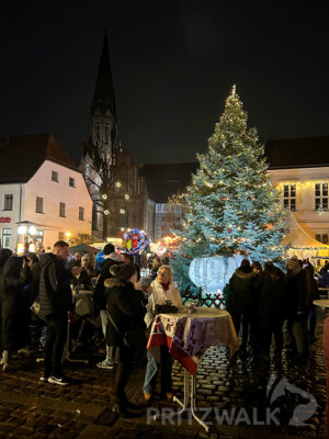 Foto des Albums: Fünf Tage wunderbares Weihnachtsprogramm