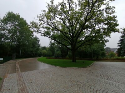 Platz vor der Kirche Goldbach  (Bild vergr&ouml;&szlig;ern)
