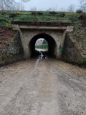 Beginn der Arbeiten Sch&ouml;ndorfer Weg  (Bild vergr&ouml;&szlig;ern)