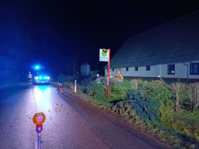 Foto des Albums: Einsatz: Baum droht auf Straße zu stürzen