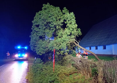 Foto des Albums: Einsatz: Baum droht auf Straße zu stürzen
