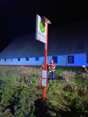 Foto des Albums: Einsatz: Baum droht auf Straße zu stürzen