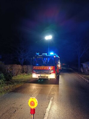 Foto des Albums: Einsatz: Baum droht auf Straße zu stürzen