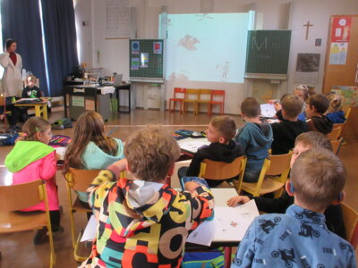 Foto des Albums: Igel im Herbst (mit der Partnerschule Cheb) (18. 10. 2023)